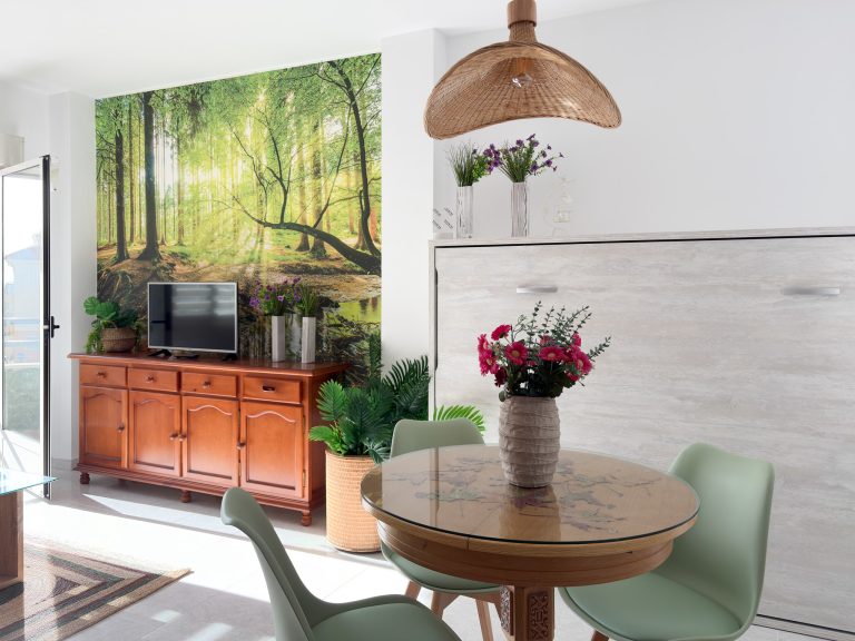CAMA COMEDOR TV