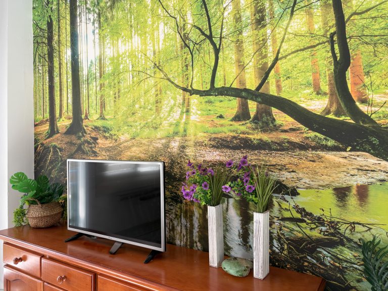 MURALTV